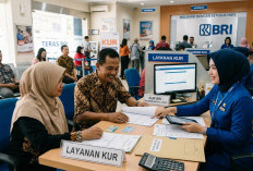 Cicilan Ringan! Simulasi KUR BRI 2026 Pinjaman Rp 30 – Rp 50 Juta, Mulai Angsura Segini Sebulan
