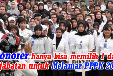 Honorer Hanya Bisa Memilih 1 dari 2 Jabatan Ketika Melamar PPPK 2024