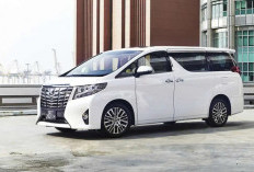 MPV Keren: Toyota Alphard Adventure Off-Road 2026, Mobil Mewah yang Berjiwa Petualang
