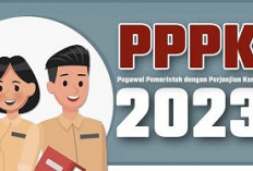 Ingin Lulus PPPK 2023, Cek   Informasi Passing Grade Ini