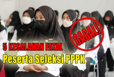 5 Poin Penting Bagi Tenaga Honerer Harus Dipahami Sebelum Mengikuti Seleksi PPPK 2024, Inilah Poinnya