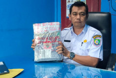 87 CPNS Kaur Jadi PNS Penuh Diperkirakan 1 Mei 2026