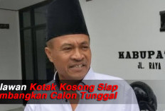 Relawan Kotak Kosong Siap Tumbangkan Calon Tunggal 