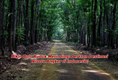 Bikin Bulu Kuduk Merinding! Inilah Deretan Destinasi Wisata Angker di Indonesia! Berani Berkunjung?