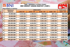 Cek Tabel Angsuran KUR BNI 2026 Plafon Rp 500 Juta, Cicilan Mulai Rp 9 Jutaan per Bulan