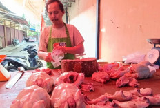 Harga Daging Ayam di Kaur Naik Jelang Idul Adha