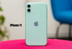 Tak Lagi Dijual Resmi, iPhone 11 Jadi Primadona Baru di Marketplace, Tetap Tampil Perkasa di Tahun 2025