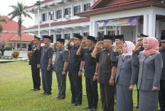 6 OPD di Pemkab Bengkulu Selatan Bakal Tanpa Kepala, Ini Penyebabnya