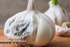 Bawang Putih Tak Hanya Sedap Dimakan, Ternyata Punya Sejuta Manfaat Kesehatan!