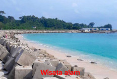 Wisata Alam yang Indah di Bengkulu, Pantai Linau Pas Buat Tahun Baru 2026 