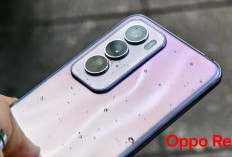 Oppo Reno12: Smartphone Keren dengan Kamera Cnaggih dan Desain Elegan Terbaru 2025