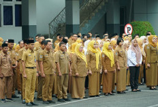 Belanja Pegawai Pemprov Bengkulu Melebihi Batas, Gubernur Helmi Ajak OPD Cari Solusi