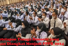 PENGUMUMAN: Berikut Ketetapan Tenaga Honorer yang akan Diangkat Menjadi PPPK 2024