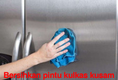 Tips Jitu Bersihkan Pintu Kulkas Kusam, Cuma Gunakan 2 Bahan Ini, Berikut Petunjuknya