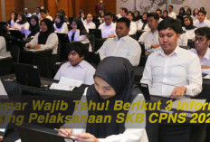 Pelamar Wajib Tahu! Berikut 3 Informasi Penting Pelaksanaan SKB CPNS 2024 