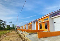 Sebelum Membeli Rumah Subsidi Tipe 45, Ketahui Dulu Keunggulan dan Kekurangannya