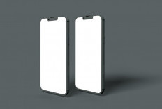 Handphone Lipat Premium Bakal Rilis, Ini Bocoran Spek Vivo X Fold6