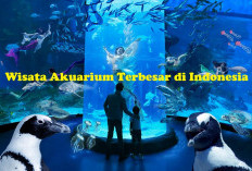 Wow Keren Banget! Inilah Wisata Akuarium Terbesar di Indonesia, Cocok untuk Liburan Bersama Keluarga!