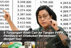 5 Tunjangan Akan Cair ke Tangan PPPK, Pembayaran Dilakukan Bersamaan dengan Gaji