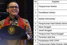 E-Meterai Error, Pelamar PPPK Boleh Pakai Meterai Tempel