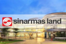 Lamar Sekarang! Sinar Mas Land Buka Lowongan Kerja Pendempatan di Samarinda dan Jakarta, Yuk Cek