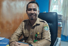 Ada Cuti Bersama, Penerimaan Berkas JPT Pratama Kaur Diperpanjang, Berikut Jadwal Terbarunya! 