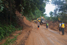 Bupati Bengkulu Selatan Optimis Usulan Alat Berat Disetujui, Antisipasi Longsor di Jalur Vital Manna–Pagar Ala