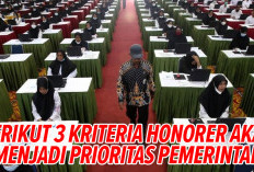 Seleksi PPPK 2024 : Ini 3 Kriteria Honorer yang Akan Menjadi Prioritas PPPK 