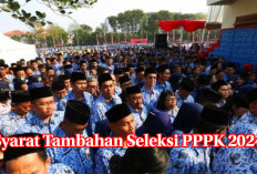 Selain Syarat Umum, MenPAN-RB RI Berikan Syarat Tambahan Seleksi PPPK 2024, Infonya Cek di Sini!