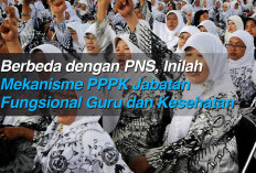 Berbeda dengan PNS, Inilah Mekanisme PPPK Jabatan Fungsional Guru dan Kesehatan