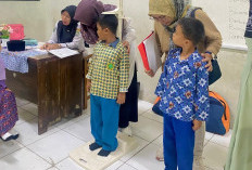 MIN 1 Kaur Gelar Penjaringan Kesehatan Anak Kelas 1, Bagian Tubuh Ini yang Diperiksa  