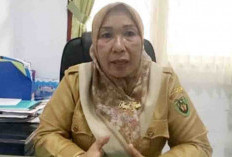 Bangkitkan BBI Bengkulu Selatan Dinas Perikanan Siapkan Ribuan Calon Induk Unggul