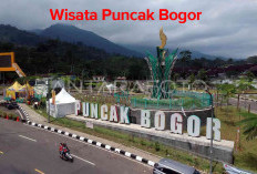 Ada yang Baru di Puncak Bogor, Wisata Tempat yang Ramah dan Ada Pertunjukan Angklung