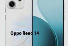 Oppo Reno 14 5G : Smartphone Stylish Cocok Untuk Kaum Hawa