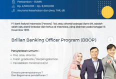 Peluang Karier, BRI Buka Loker Besar-besaran Banyak Posisi, Cek Syaratnya