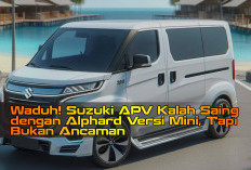 Waduh! Suzuki APV Kalah Saing dengan Alphard Versi Mini, Tapi Bukan Ancaman