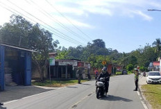 Arus Mudik Mulai Ramai di Jalinbar Maje, Kendaraan Meningkat Hingga 60 Persen