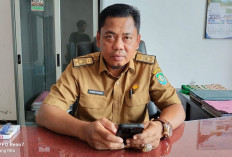 Gubernur Akan Kunjungi Kaur, Ikuti Jalan Santai Merah Putih Hingga Tinjau Dermaga Linau 