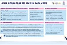 Jangan Panik Jika Kartu SKD CPNS 2024 Tidak Muncul, Begini Cara Mengatasinya