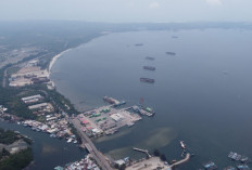 Pelindo Siapkan 215 Ha Lahan Kawasan Industri di Pulau Baai, Namun Ini Kendala Seriusnya