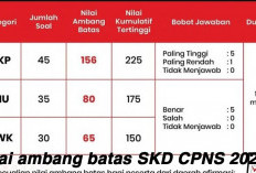 Tak Penuhi Nilai Ambang Batas SKD CPNS 2024 Tak Bisa Lanjut ke SKB, Cek Nilai Diperlukan 