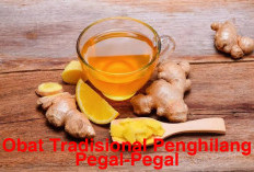 Jangan Buruan ke Medis, Intip Obat Tradisional Penghilang Pegal Ini, Solusi Alami Tetap Ampuh