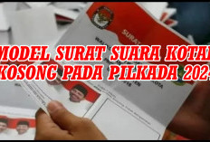 DPR RI Revisi PKPU, Kotak Kosong Menang, Pilkada Ulang 2025