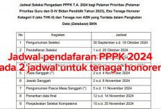 DARI BKN : Honorer Non Database Bisa Mendaftar PPPK 2024   