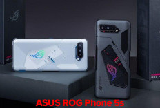 HP ASUS ROG Phone 5s Turun Harga, Semulanya Rp 11 Jutaan, Sekarang Cuma Segini!