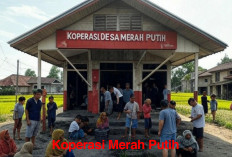 3 Tujuan dan Manfaat Koperasi Merah Putih yang Sebenarnya, Simak Penjelasan Lengkapnya di Sini!