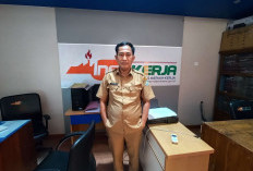 Jumlah Pencari Kerja di Kaur Turun Signifikan Tahun 2025, Cek Faktor Penyebabnya