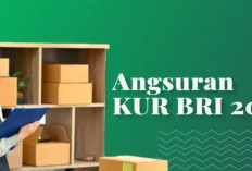 Ingin Usaha Tapi Kurang Modal? Yuk Pinjam di KUR BRI Rp 20 Juta, Bunga Rendah