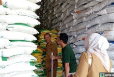 Pemerintah Bengkulu Selatan Siap Bantu Masyarakat yang Lahan Pertanian Rusak Akibat Bencana, Ini Caranya