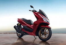 Honda PCX 160 Baru 2026 Makin Menyala, Mesin ISP Plus Smart Key Canggih